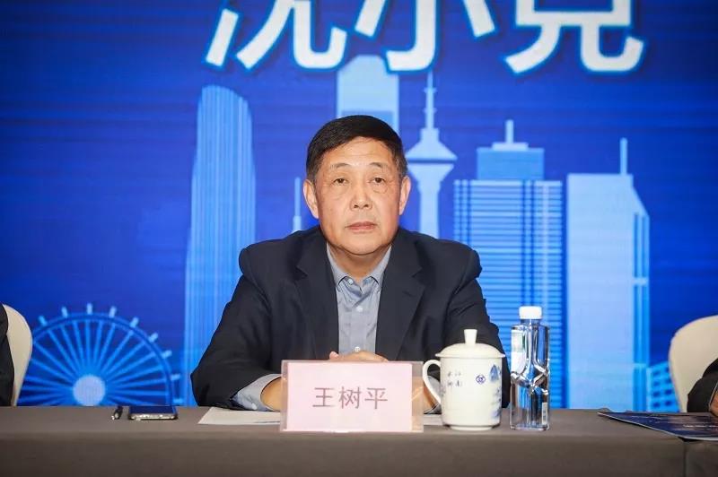 中国勘探设计协会副理事长 王树平.jpg